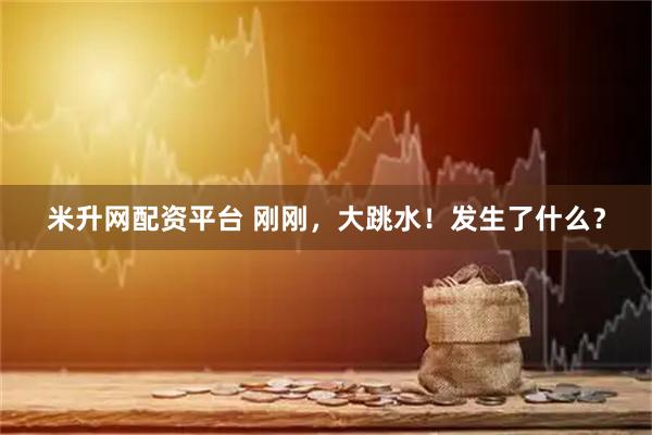 米升网配资平台 刚刚，大跳水！发生了什么？