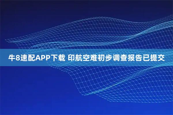 牛8速配APP下载 印航空难初步调查报告已提交