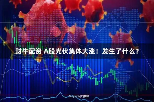 财牛配资 A股光伏集体大涨!发生了什么?