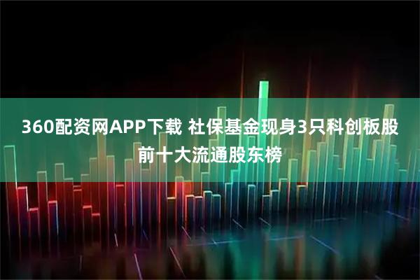 360配资网APP下载 社保基金现身3只科创板股前十大流通股东榜