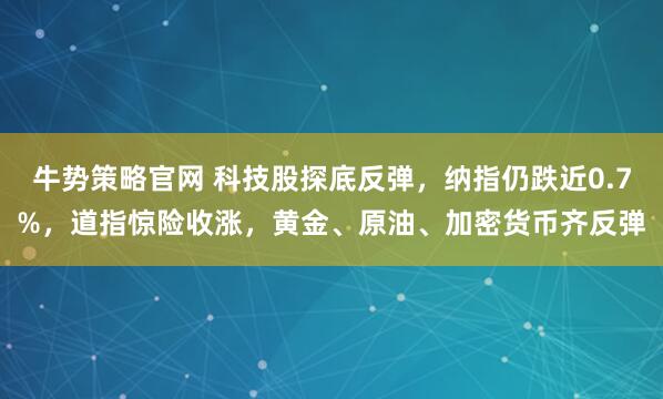 牛势策略官网 科技股探底反弹，纳指仍跌近0.7%，道指惊险收涨，黄金、原油、加密货币齐反弹