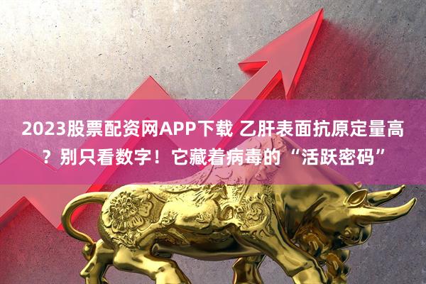2023股票配资网APP下载 乙肝表面抗原定量高？别只看数字！它藏着病毒的 “活跃密码”