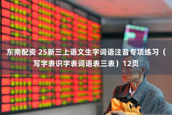 东南配资 25新三上语文生字词语注音专项练习（写字表识字表词语表三表）12页