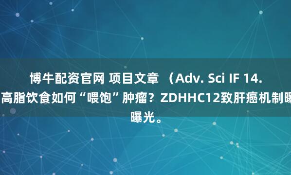 博牛配资官网 项目文章 （Adv. Sci IF 14.1）|高脂饮食如何“喂饱”肿瘤？ZDHHC12致肝癌机制曝光。